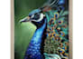 create beautiful handmade landscape, paintings